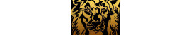 Lion Decor - Декоративно отделочные материалы Premium класса по цене завода изготовителя!