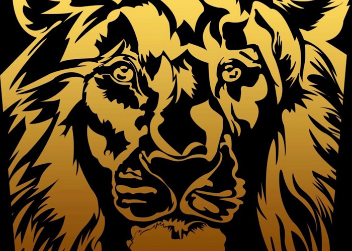 Lion Decor - Декоративно отделочные материалы Premium класса по цене завода изготовителя!